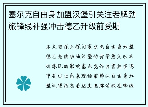 塞尔克自由身加盟汉堡引关注老牌劲旅锋线补强冲击德乙升级前受期 塞尔克自由身加盟汉堡引关注老牌劲旅锋线补强冲击德乙升级前受期